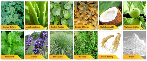 natural-active-ingredients-of-novuhair